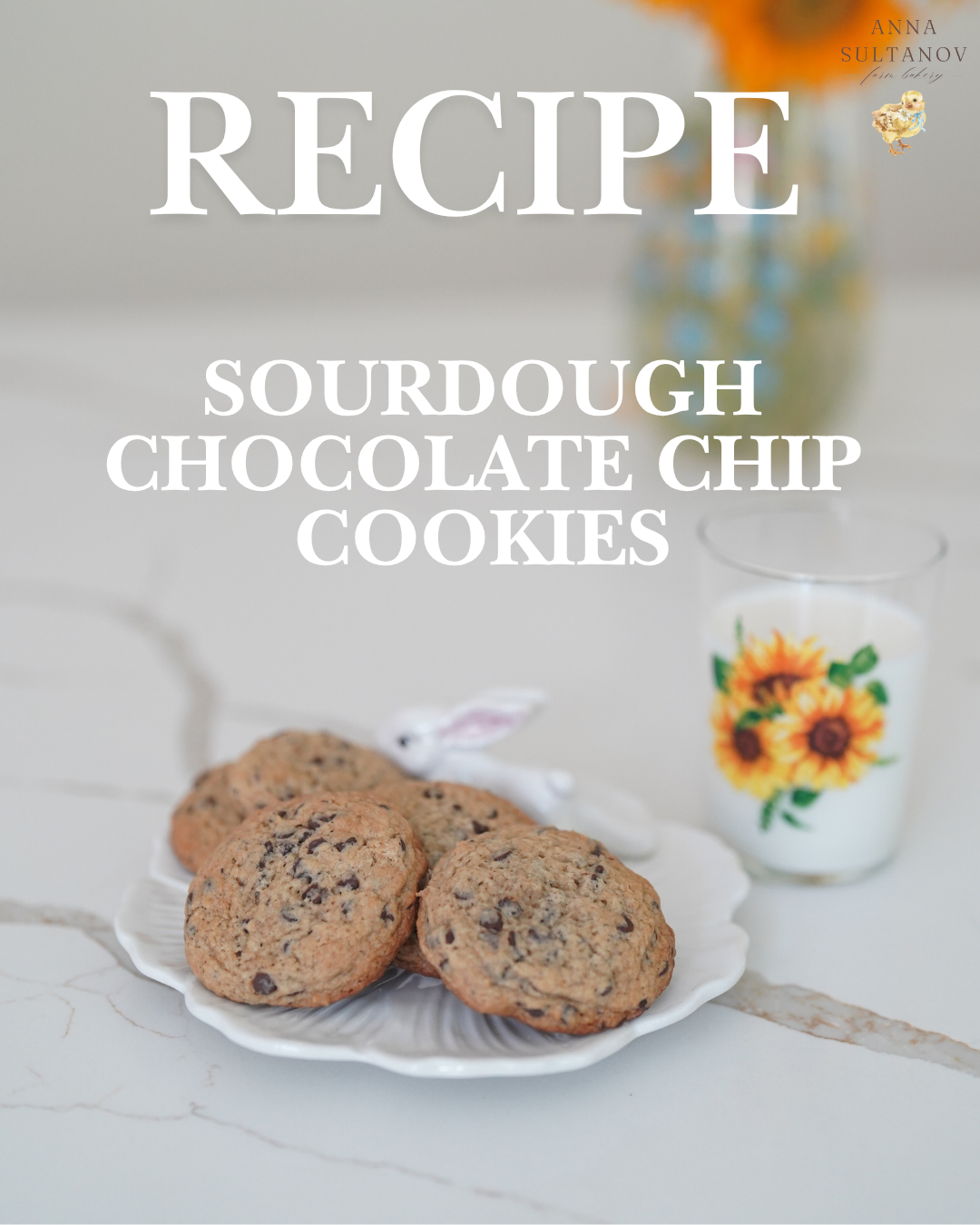 Sourdough Chocolate Chip Cookies | FREE RECIPE |
