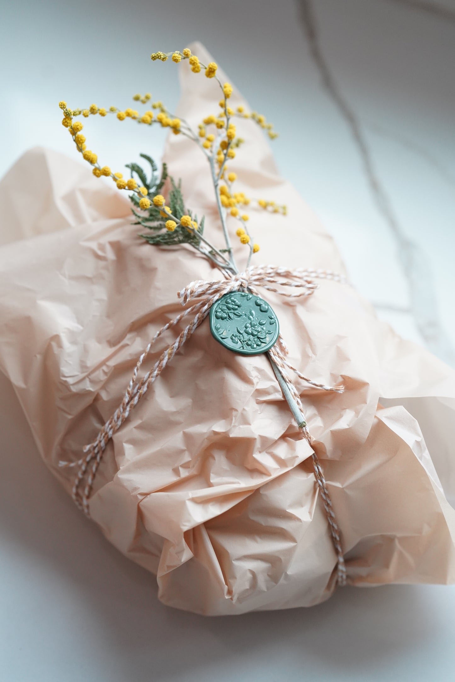 Farm Sourdough Kit: Quick Guide on Bread Baking for Beginners and Dehydrated Sourdough Starter with the Rehydration Instructions