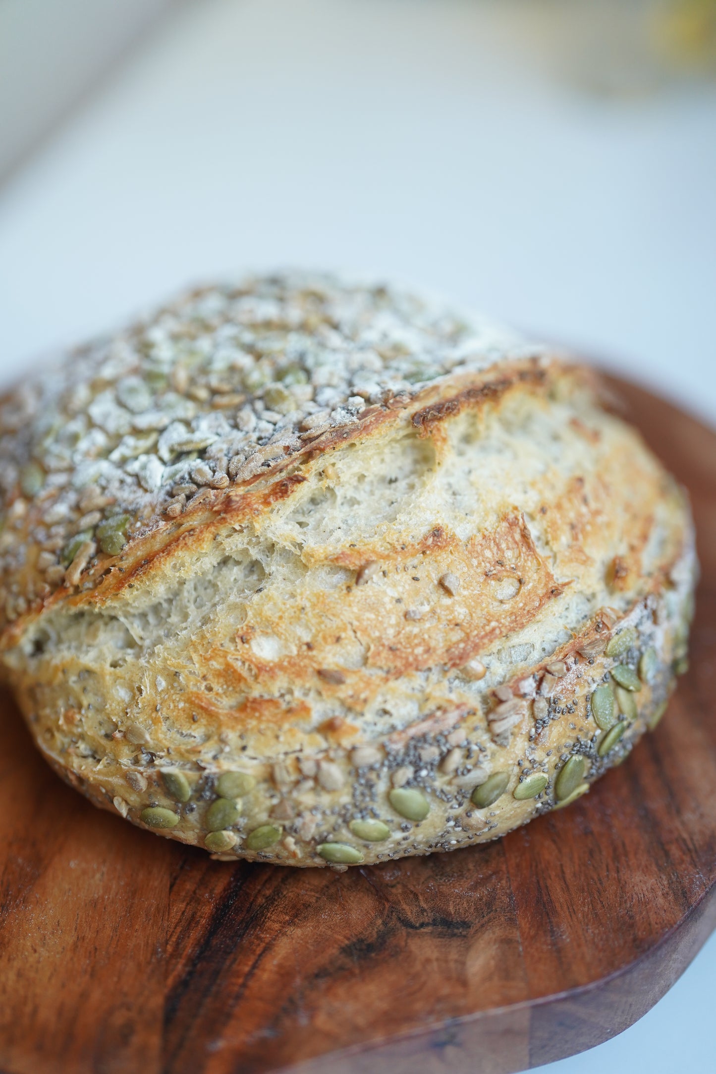 Farm Sourdough Kit: Quick Guide on Bread Baking for Beginners and Dehydrated Sourdough Starter with the Rehydration Instructions