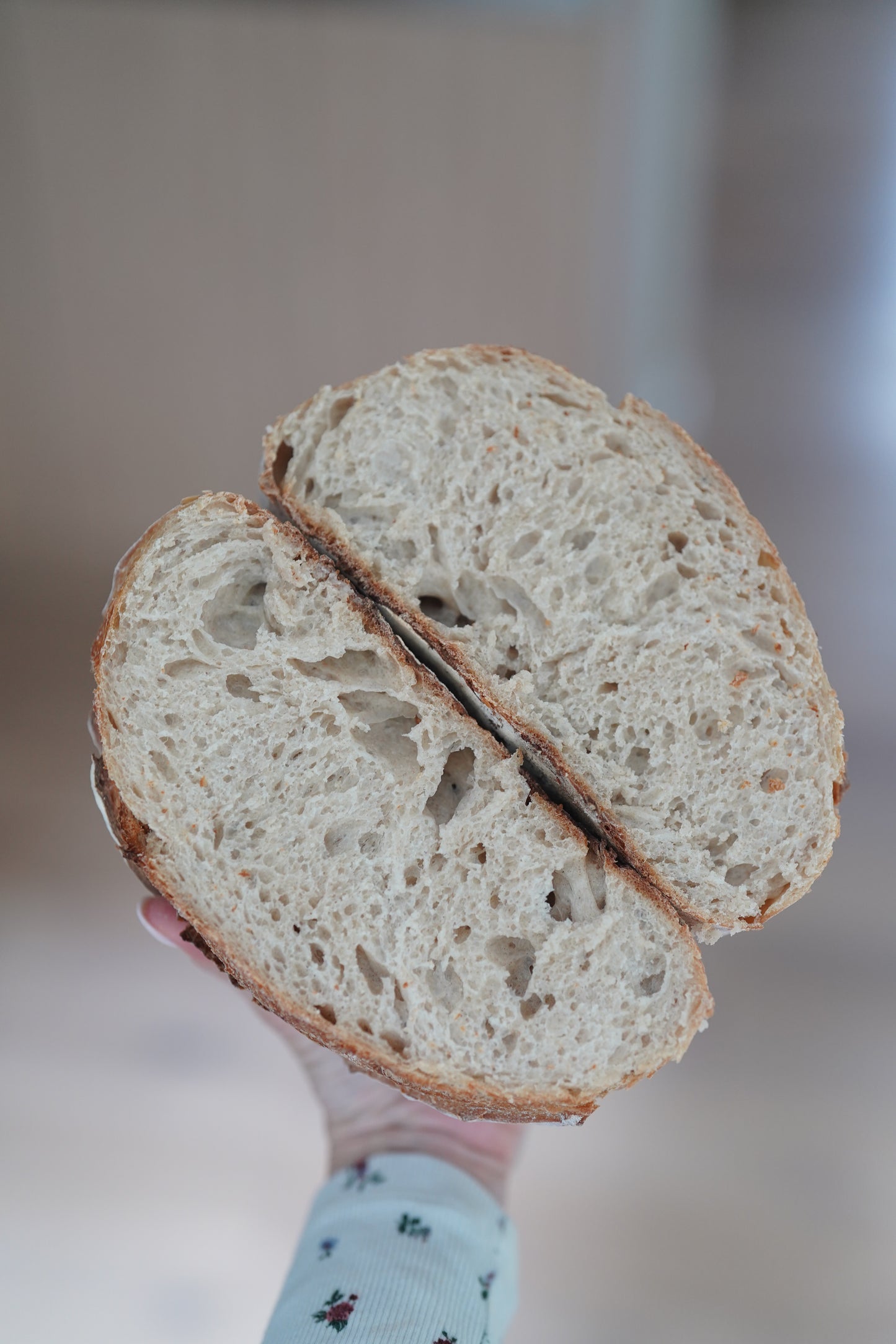 Farm Sourdough Kit: Quick Guide on Bread Baking for Beginners and Dehydrated Sourdough Starter with the Rehydration Instructions