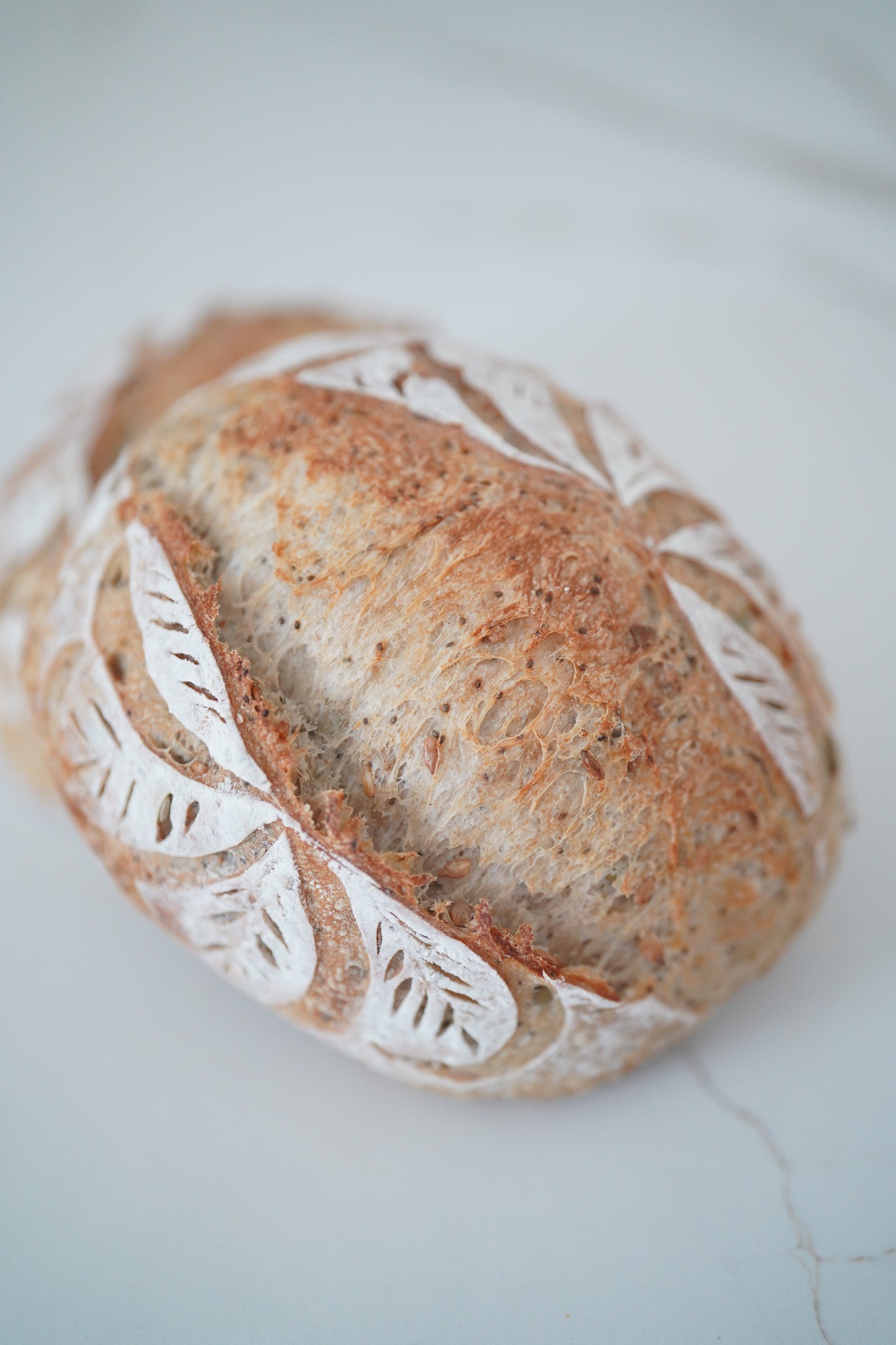 Quick Guide on Bread Baking for Beginners