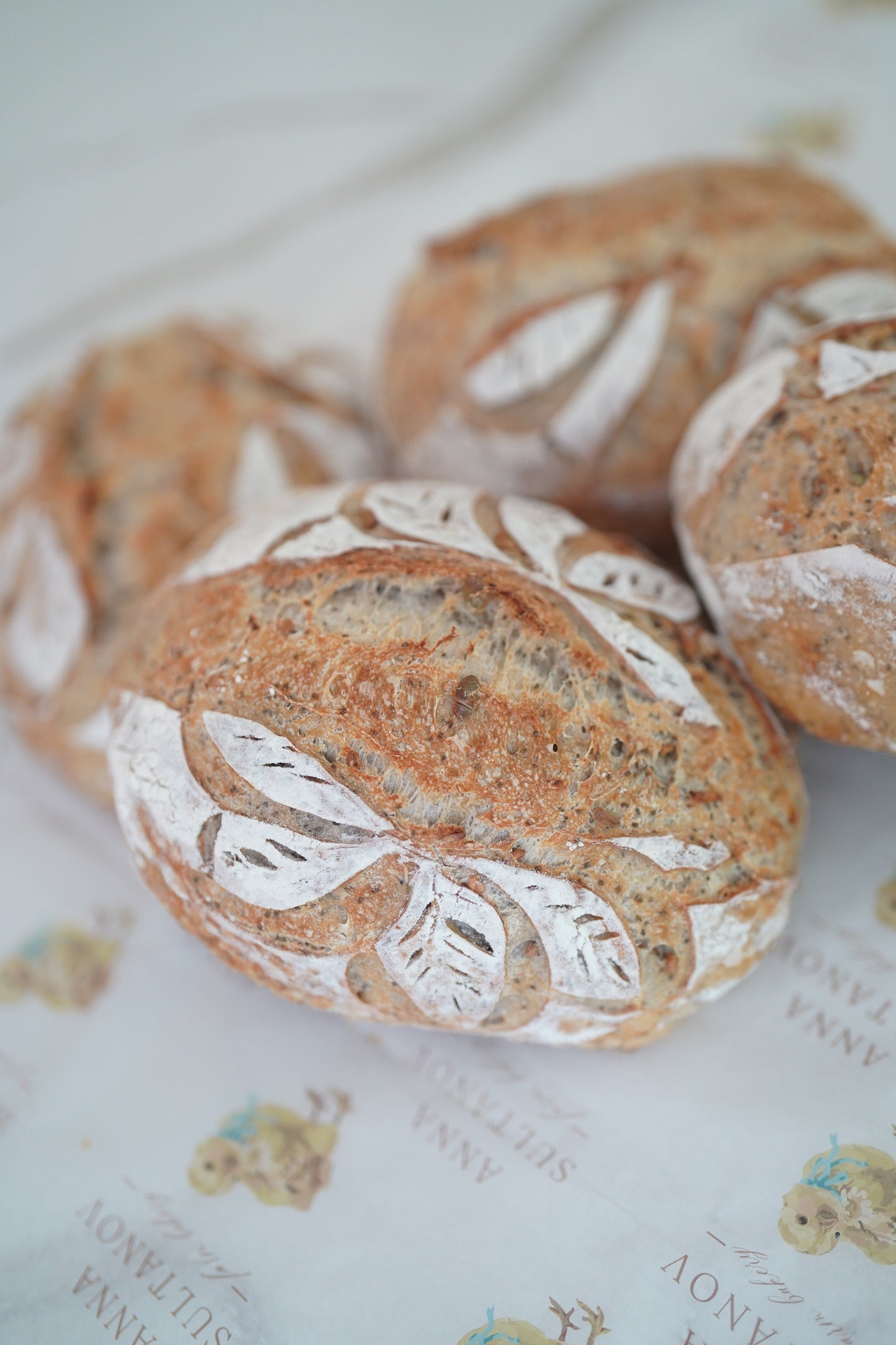 Quick Guide on Bread Baking for Beginners