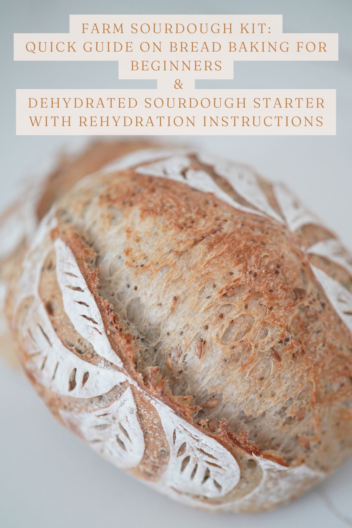 Farm Sourdough Kit: Quick Guide on Bread Baking for Beginners and Dehydrated Sourdough Starter with the Rehydration Instructions
